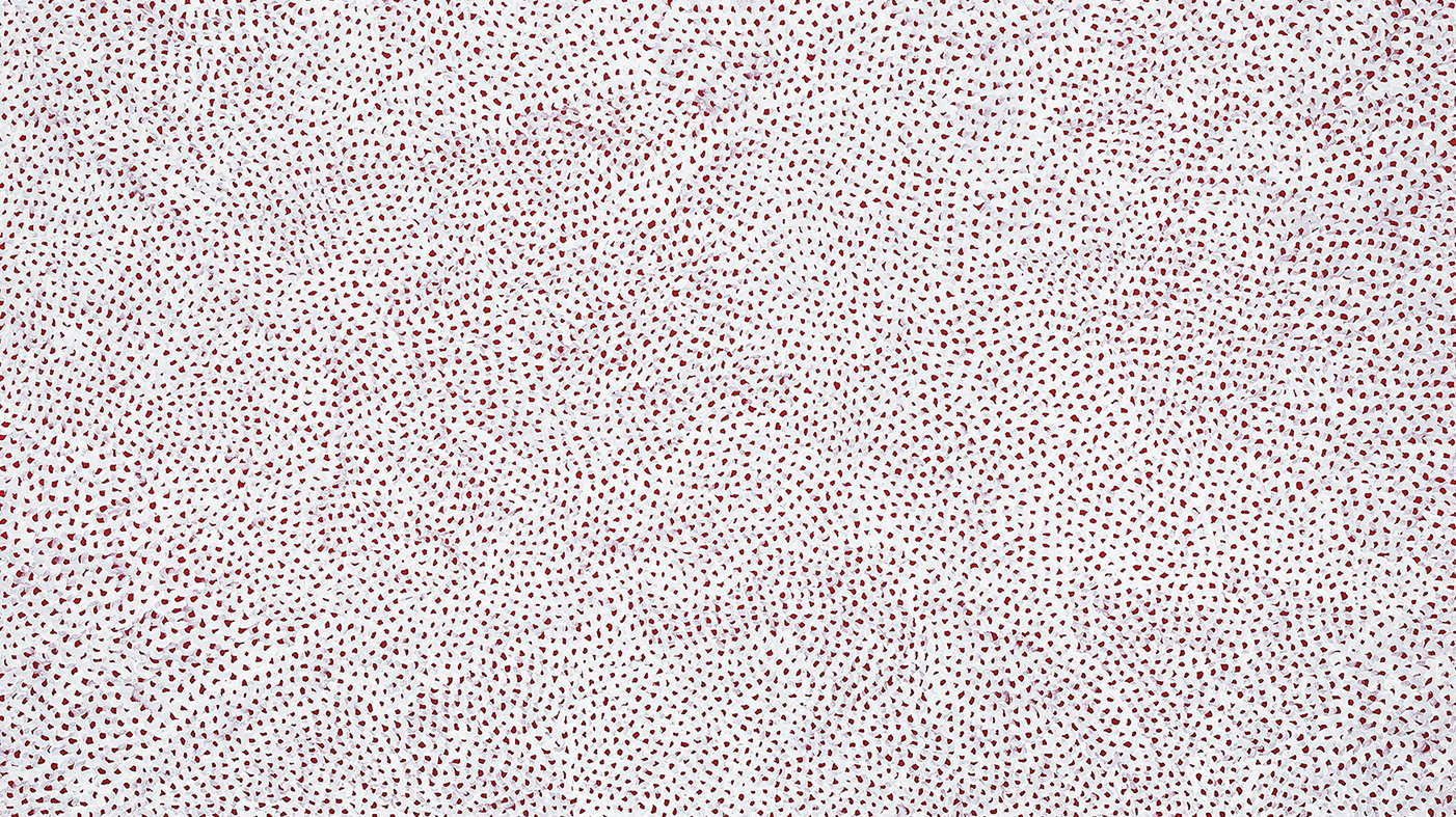 Infinity-Nets (OWTTY)