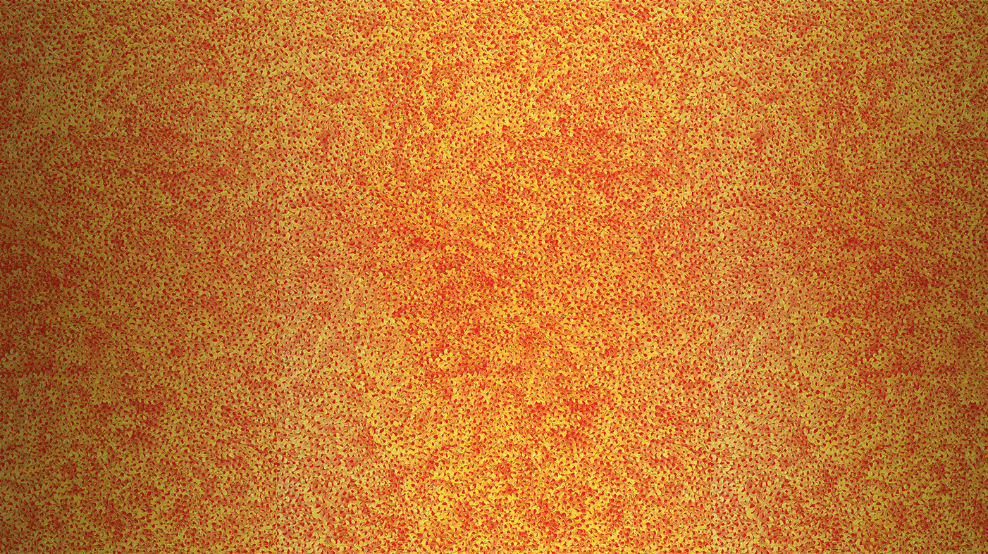 Infinity Nets (ZZOOX)